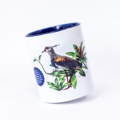 1-36-Mug Alcaraban_Instituto Humboldt