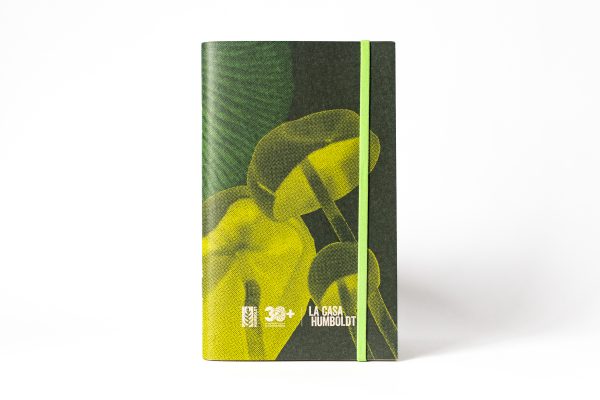Libreta Hongo