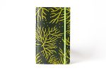 Libreta Micelio