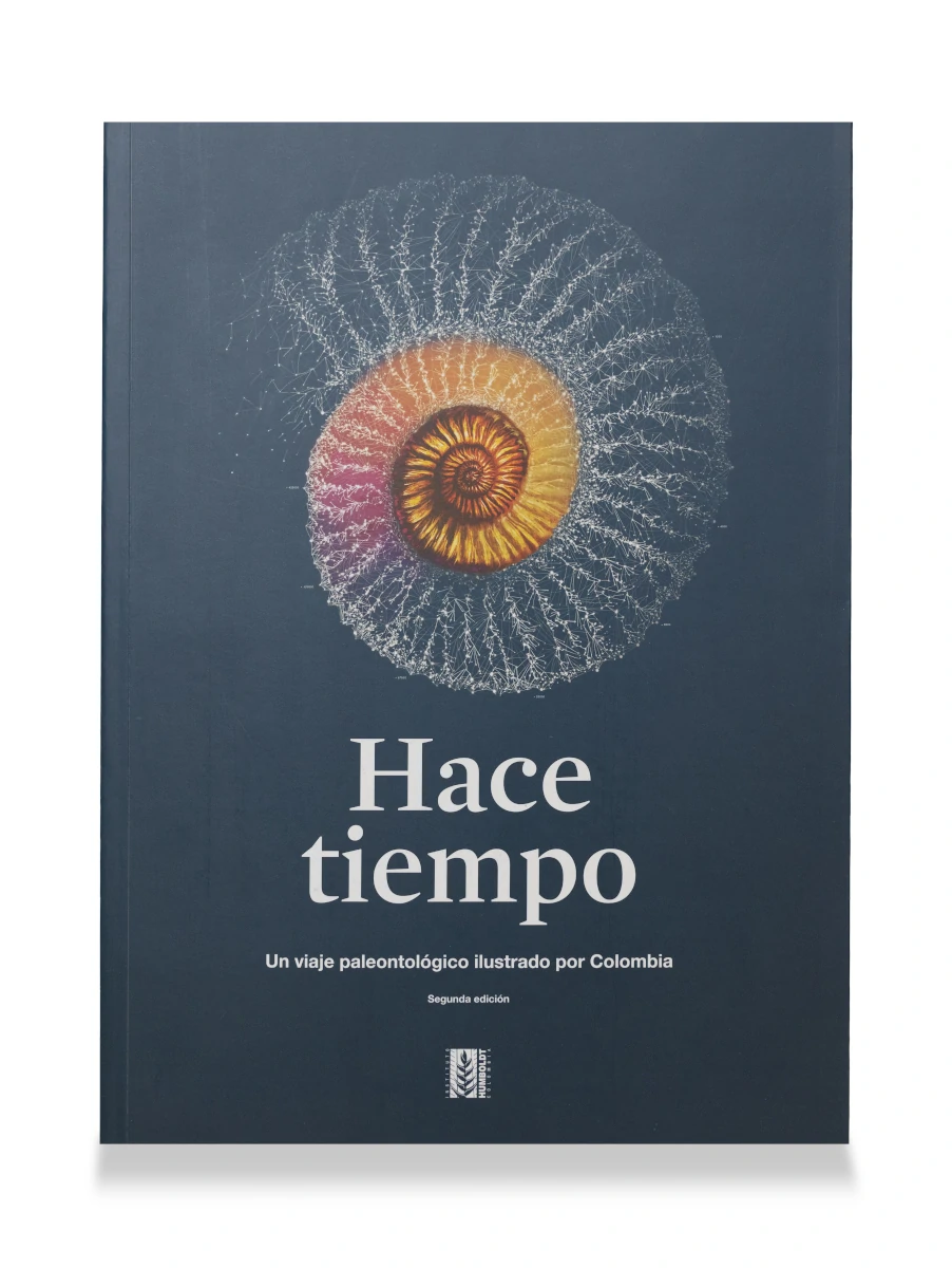 portada libro hace tiempo