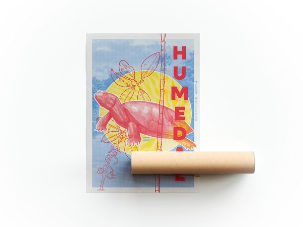 Poster Humedal 2