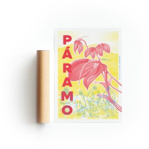 Poster Páramo