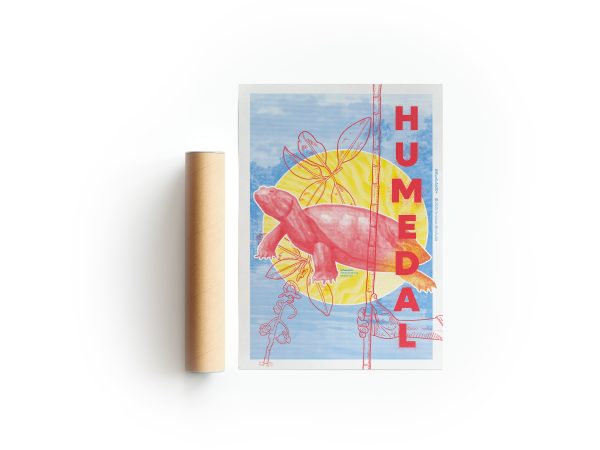 Poster Humedal
