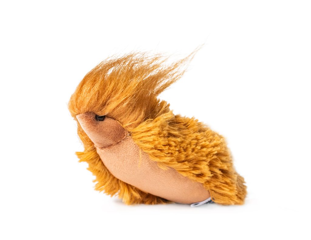 Oruga Peluda Instituto de Investigación de