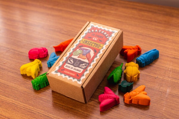 crayolas de insectos