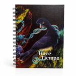 cuaderno evolución