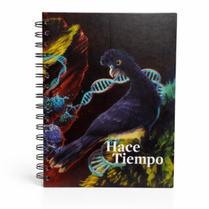 cuaderno evolución
