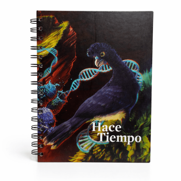 cuaderno evolución