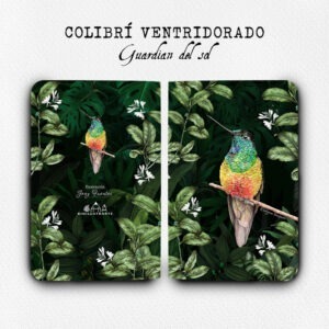 Cuadernillo Colibrí ventridorado