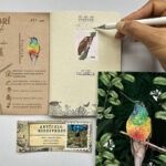 Cuadernillo Colibrí ventridorado interior