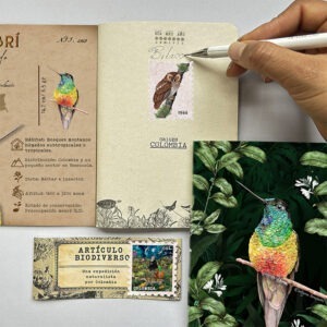 Cuadernillo Colibrí ventridorado interior