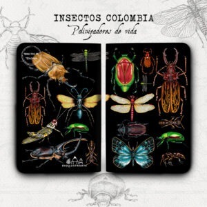 Cuadernillo Insectos