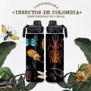 cantimplora insectos