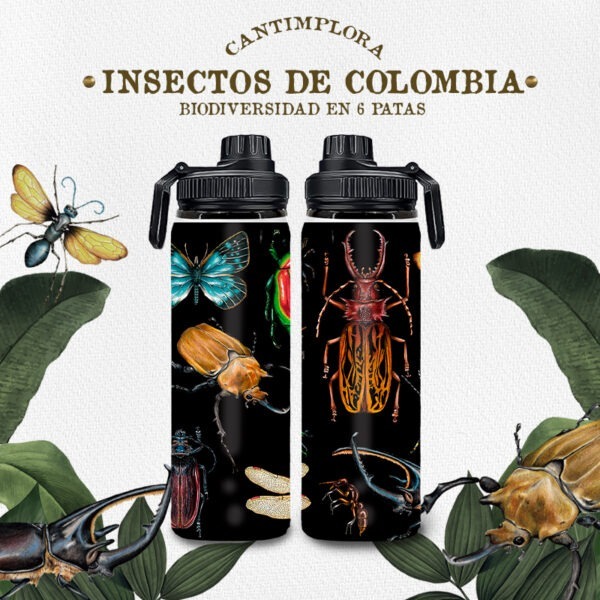 cantimplora insectos