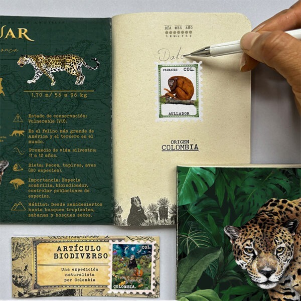 interno cuadernillo jaguar