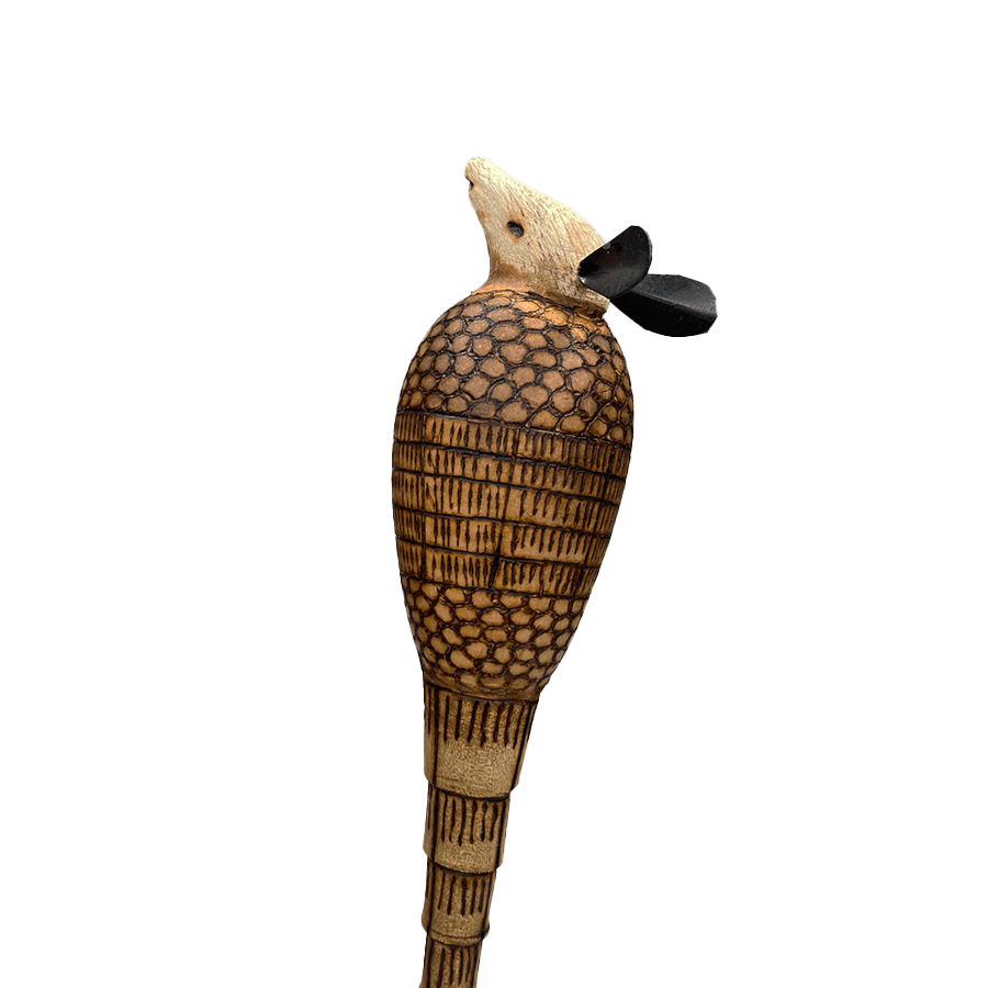 Maracas armadillo Instituto de Investigación de Recursos Biológicos