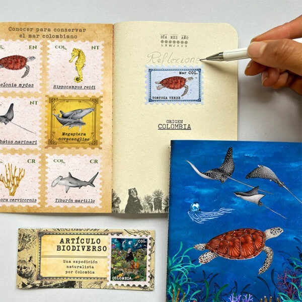 interior cuadernillo marinos