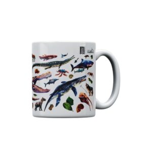 Mug evolución  Hace tiempo