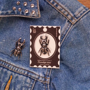 Pin Escarabajo Ciervo