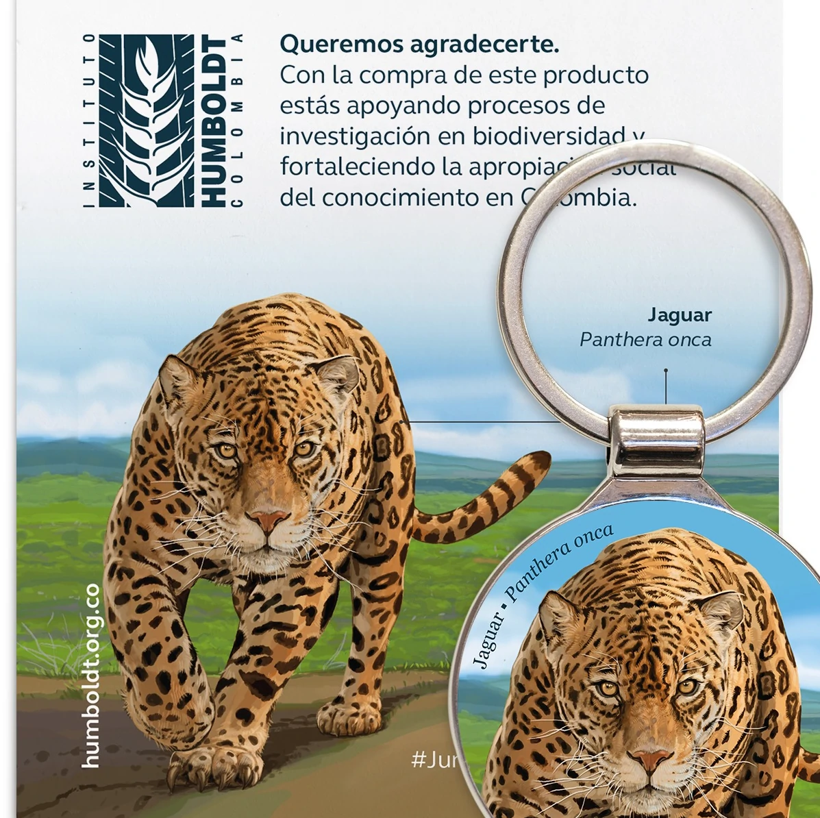 llavero jaguar